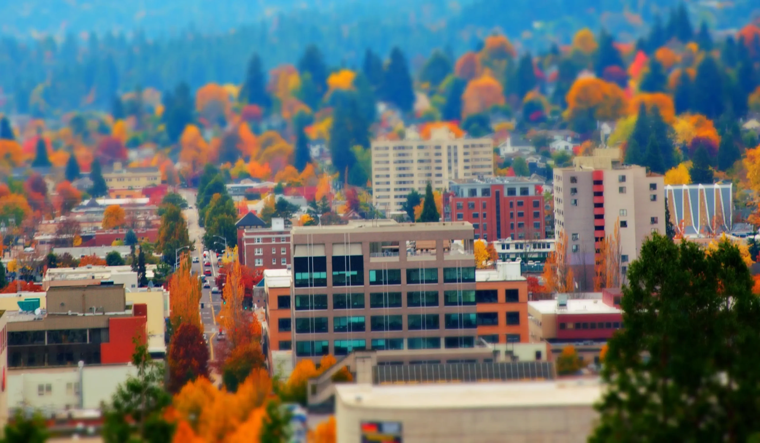 Eugene Public Adjuster
