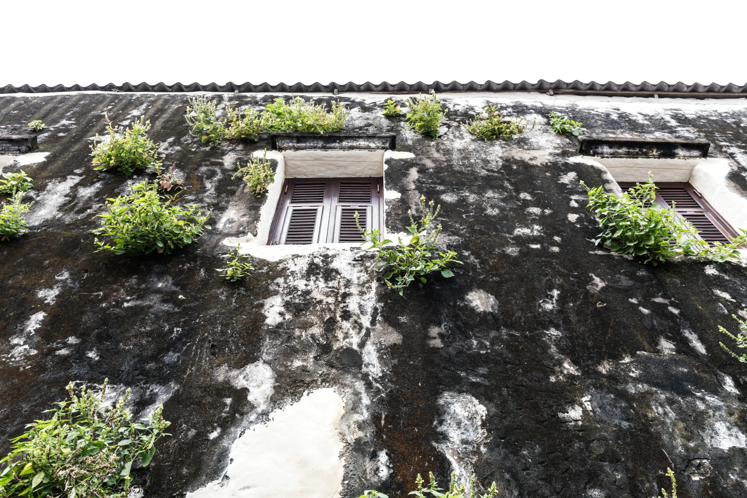 Water & Mold Damage – Oregon Public Adjuster