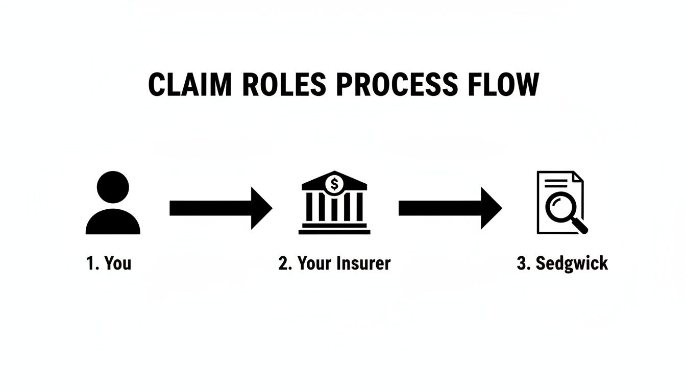 A simple process flow diagram showing claim roles: You, Your Insurer, and Sedgwick.